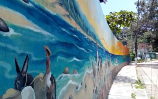 The Wall "Punta Mita" - Remance