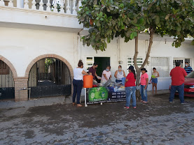 Street feeding program in Ixtapa